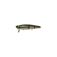 CHARTREUSESHAD