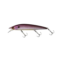 BURGUNDY SHAD