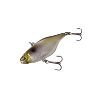 SUPER SHAD