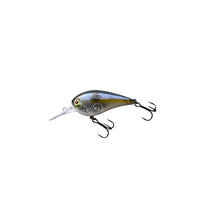 GHOST AR SHAD
