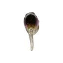 back image of sku JDRFRY4-FW