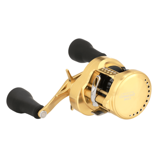 threequarter image of sku CTCNQMD300XGLHB