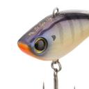 BT SPIN