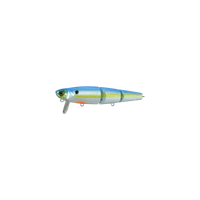 SS SHAD